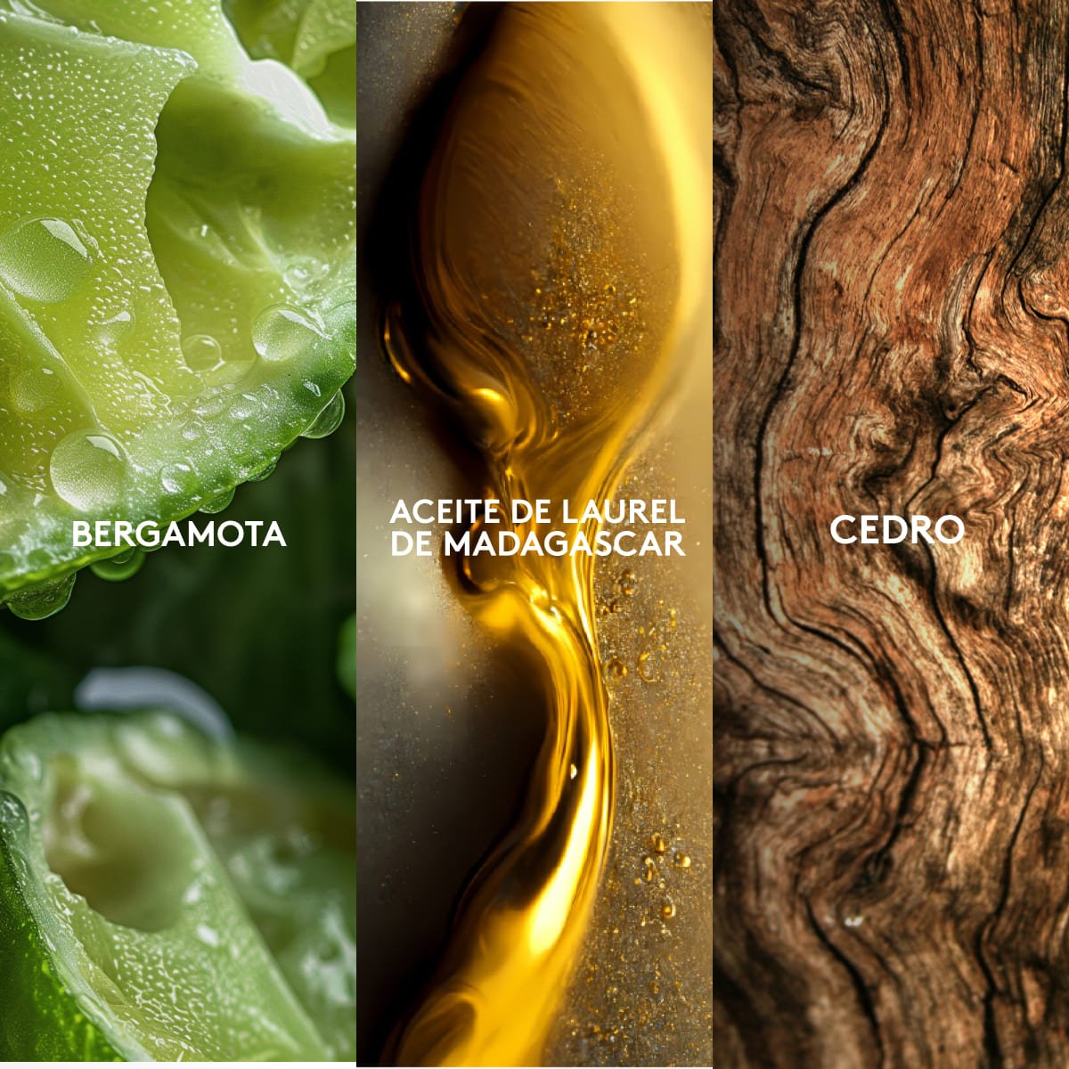 Kalos Max Perfume de Hombre, 100 ml