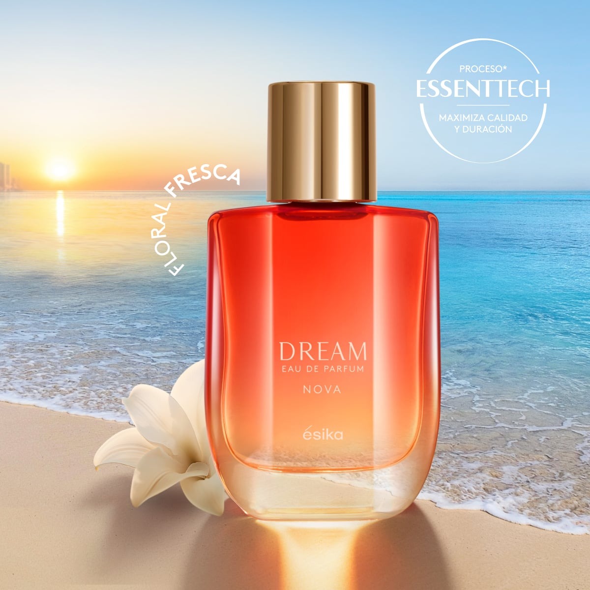 Dream Nova Perfume de Mujer