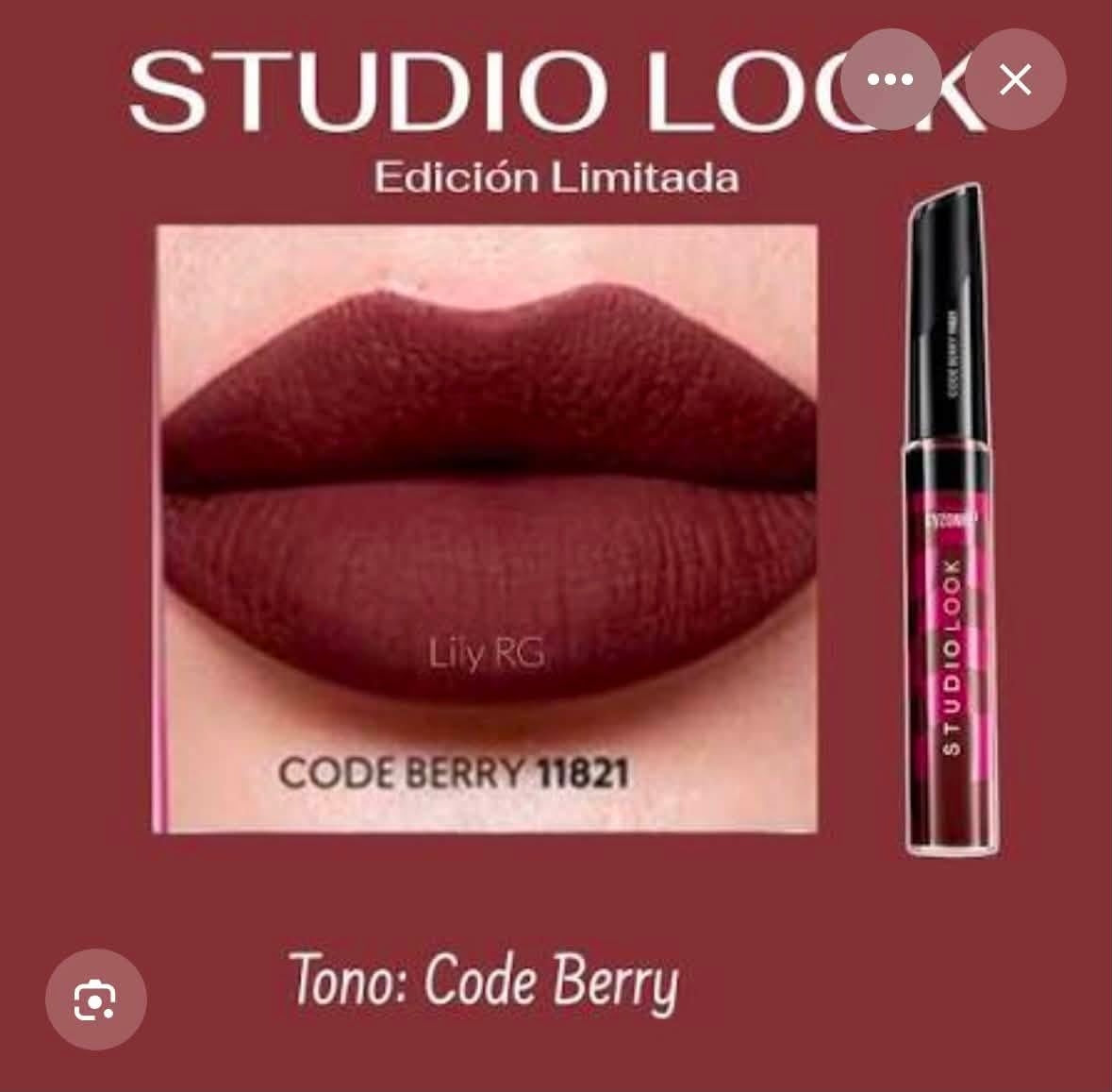 Labial líquido studio look edición limitada