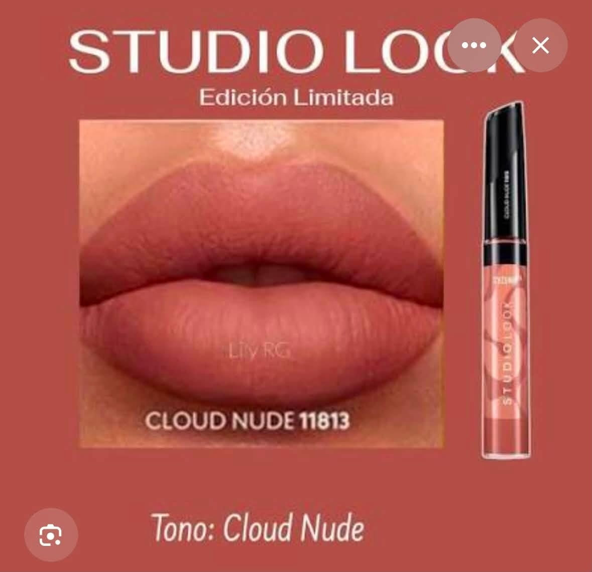 Labial líquido studio look edición limitada