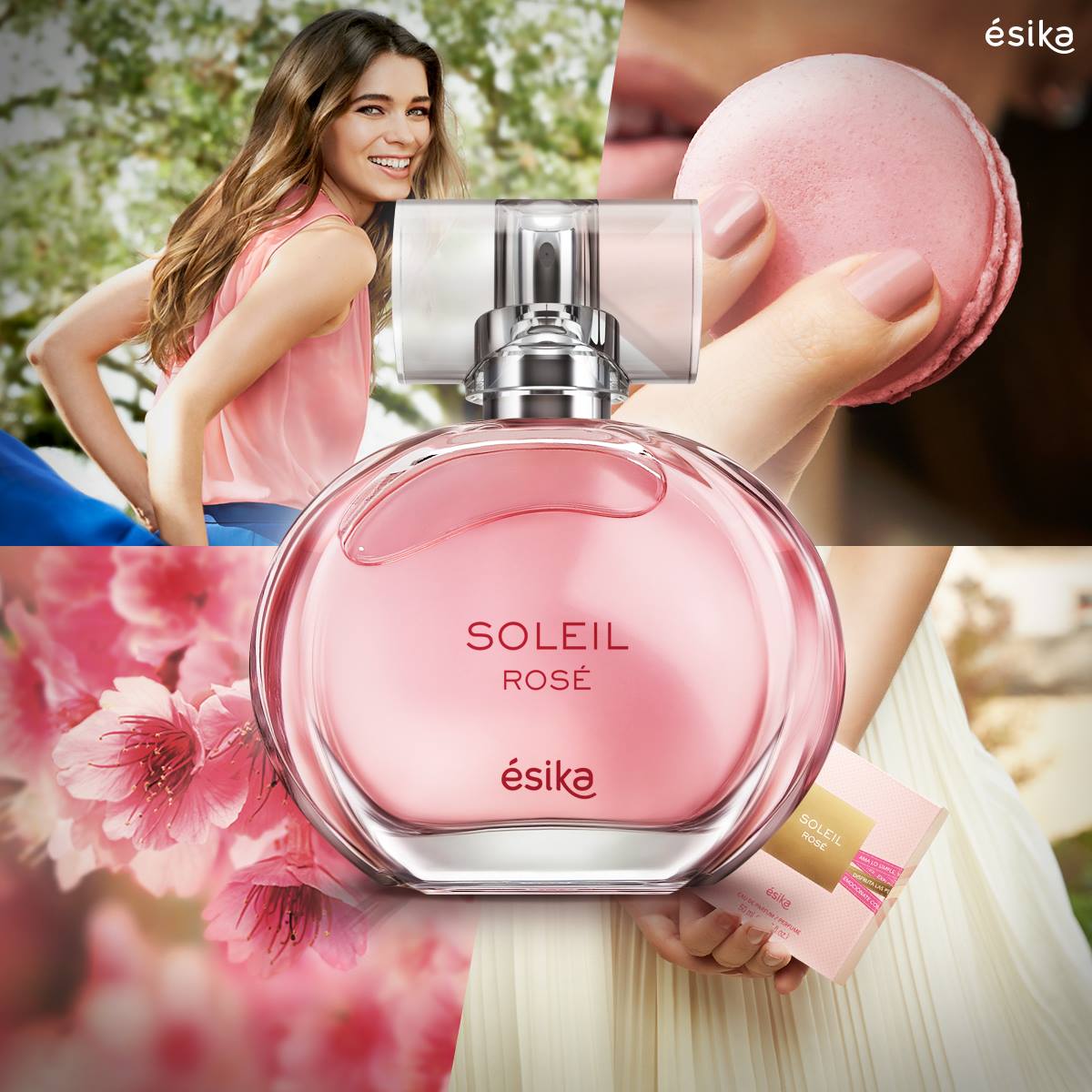 SOLEIL ROSE